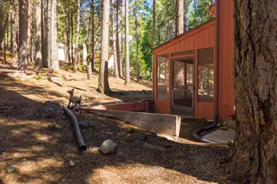 3703 Ottawa Dr, Dorrington, CA 95223 - Photo 40
