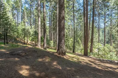 1539 Pebble Beach Way, Arnold, CA 95223 - Photo 36