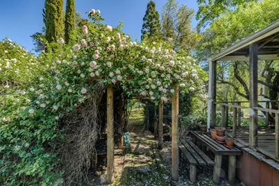 15205 Bunker Hill Road, Amador City, CA 95601 - Photo 52
