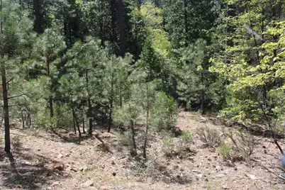 558 Brady Dr., Sierra City, CA 96125 - Photo 12