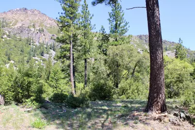 558 Brady Dr., Sierra City, CA 96125 - Photo 6