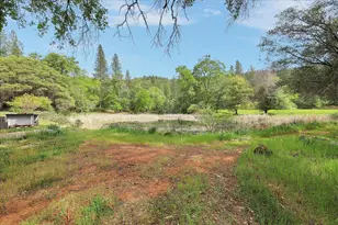 14937 Fountain House Rd, Dobbins, CA 95935 - Photo 46