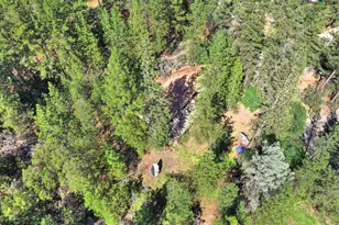 21495 Snooks Rd, Colfax, CA 95713 - Photo 64