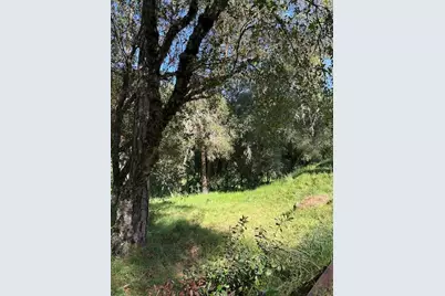 1215 Spring Crest Court, Placerville, CA 95667 - Photo 36