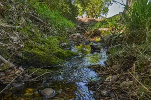 320 Gopher Flat Rd, Sutter Creek, CA 95685 - Photo 76