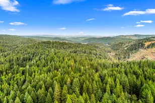 5861 Lupin Ln, Pollock Pines, CA 95726 - Photo 44