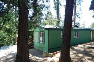 23685 State Hwy 108, Twain Harte, CA 95383 - Photo 8