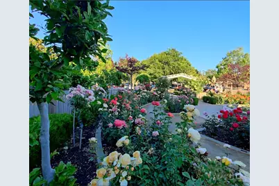 1916 Oak Bluff Way, Sacramento, CA 95833 - Photo 52