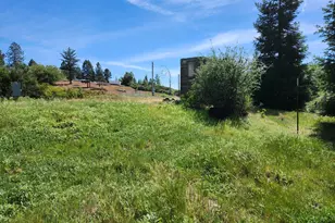 10006 Wendell Rd, Mountain Ranch, CA 95246 - Photo 6