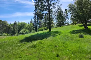 10006 Wendell Rd, Mountain Ranch, CA 95246 - Photo 10