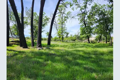 10006 Wendell Road, Mountain Ranch, CA 95246 - Photo 8