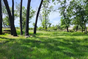 10006 Wendell Rd, Mountain Ranch, CA 95246 - Photo 8