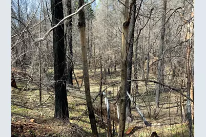 4720 Blaze Trail, Somerset, CA 95684 - Photo 6