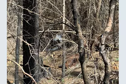 4720 Blaze Trail, Somerset, CA 95684 - Photo 14