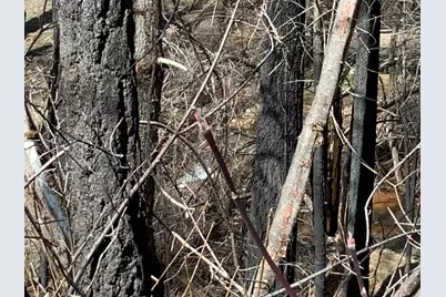 4720 Blaze Trail, Somerset, CA 95684 - Photo 12