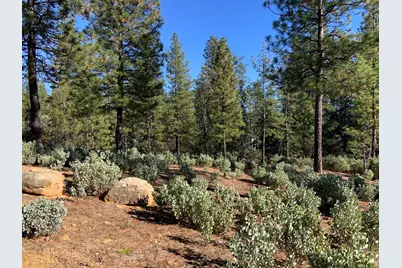 530 Lost Hill Court, Nevada City, CA 95959 - Photo 2