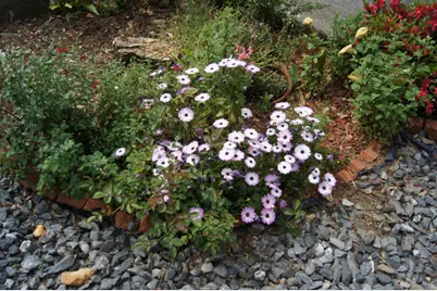 China Garden Road #82, Placerville, CA 95667 - Photo 18