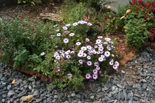 China Garden Rd, Placerville, CA 95667 - Photo 18