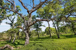 7680 Walsh Ln, Smartsville, CA 95977 - Photo 70