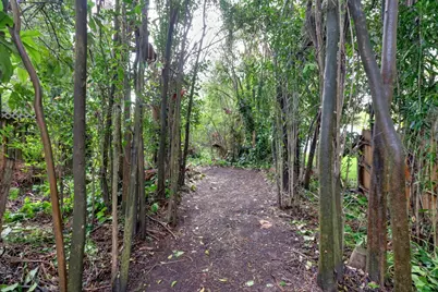 4945 Pasadena Avenue, Sacramento, CA 95841 - Photo 34