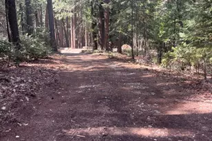 17360 Wyatt Earp Rd, Nevada City, CA 95959 - Photo 14