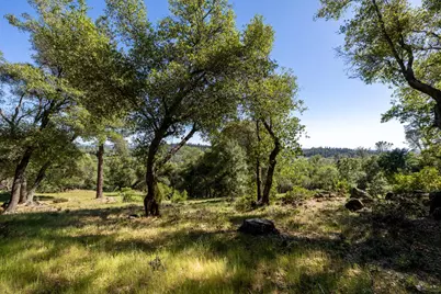 1235 Forest View Drive, Meadow Vista, CA 95722 - Photo 6