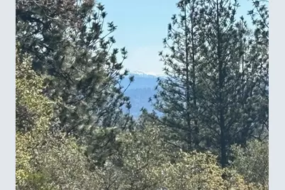 1235 Forest View Drive, Meadow Vista, CA 95722 - Photo 48