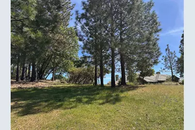 1235 Forest View Drive, Meadow Vista, CA 95722 - Photo 38