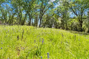 19461 Fiddletown Rd, Fiddletown, CA 95629 - Photo 48