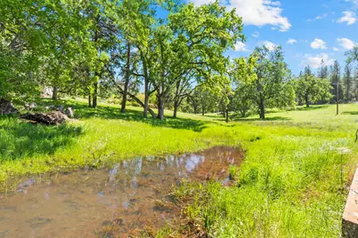 19461 Fiddletown Rd, Fiddletown, CA 95629 - Photo 52
