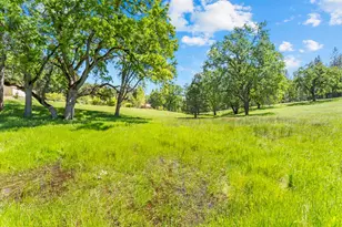 19461 Fiddletown Rd, Fiddletown, CA 95629 - Photo 52