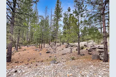 12957 Sailor Flat Road, Nevada City, CA 95959 - Photo 4