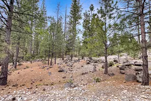 12957 Sailor Flat Rd, Nevada City, CA 95959 - Photo 4