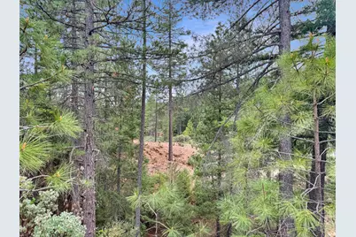 12957 Sailor Flat Road, Nevada City, CA 95959 - Photo 24