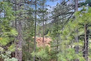 12957 Sailor Flat Rd, Nevada City, CA 95959 - Photo 24