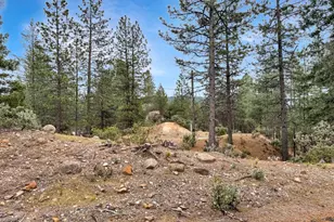 12957 Sailor Flat Rd, Nevada City, CA 95959 - Photo 22