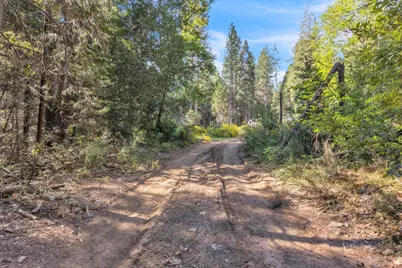 13134 Moonshine Road, Camptonville, CA 95922 - Photo 12