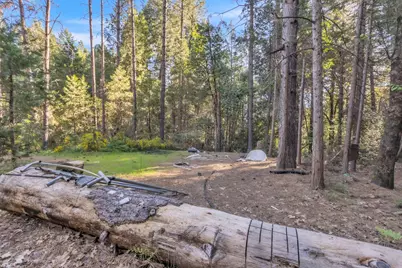 13134 Moonshine Road, Camptonville, CA 95922 - Photo 10