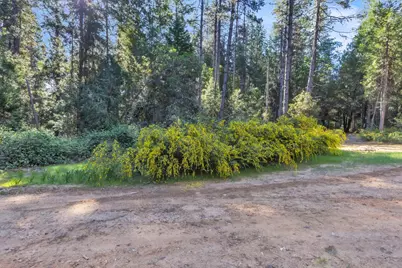 13134 Moonshine Road, Camptonville, CA 95922 - Photo 8
