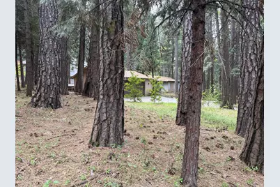 6538 Perry Rd, Magalia, CA 95954 - Photo 4