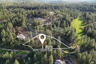 1682 The Point Rd, Meadow Vista, CA 95722 - Photo 1