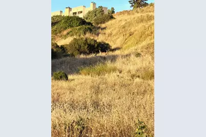 0 Miramonte Avenue, San Lorenzo, CA 94580 - Photo 12