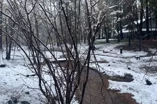 12528 Rattlesnake Rd, Grass Valley, CA 95945 - Photo 48