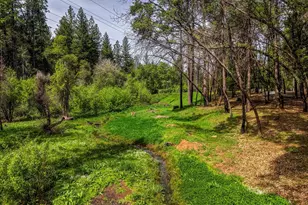 12528 Rattlesnake Rd, Grass Valley, CA 95945 - Photo 42