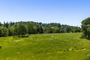 2385 Bald Hill Rd, Auburn, CA 95603 - Photo 8