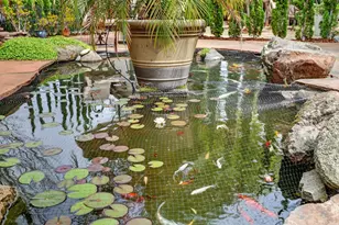 1203 Halidon Way, Folsom, CA 95630 - Photo 70