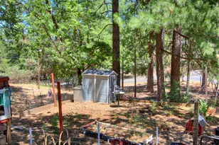 18119 Norlene Way, Grass Valley, CA 95949 - Photo 78