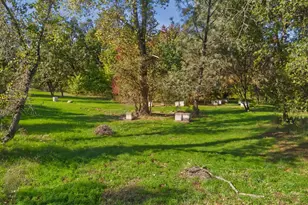 8436 Wise Rd, Auburn, CA 95603 - Photo 28