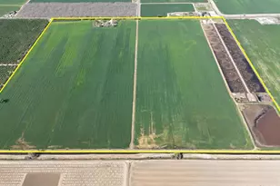 24916 S Manteca Rd, Manteca, CA 95337 - Photo 14