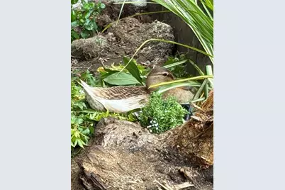 2476 Larkspur Lane #169, Sacramento, CA 95825 - Photo 20